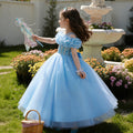 Girls' formal dress - premium openwork birthday princess gown -  new arrival - wholesale single piece - puffy flower girl dress
