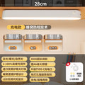 Source manufacturer desk lamp eye protection learning remote control cool lamp charging plug-in dual-use three-color temperature dormitory desk lamp