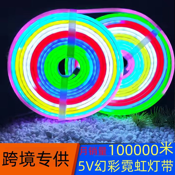Smart light with decorative light 120 lights outdoor ambient light outdoor Symphony silicone neon light with led strip factory