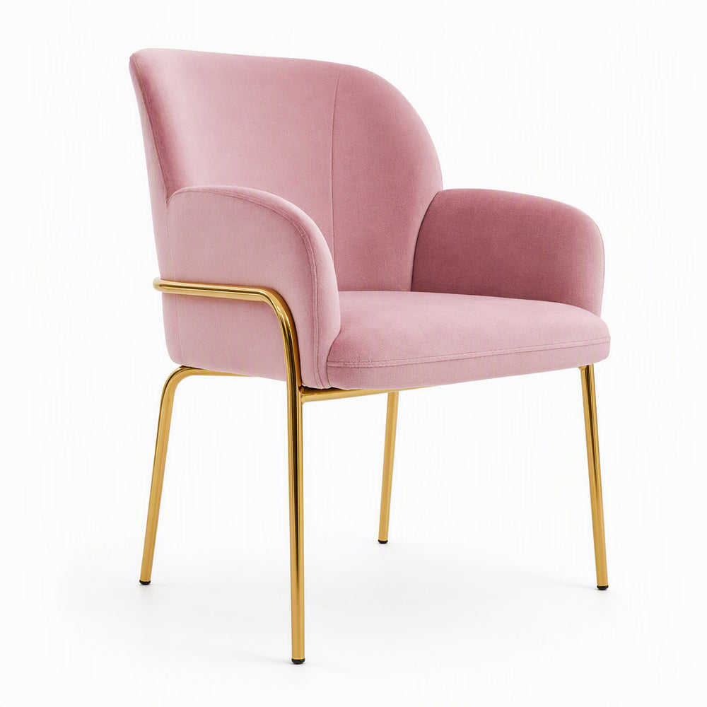 Velvet dining chair cross-border export dining chair furniture armchair velvet back chair