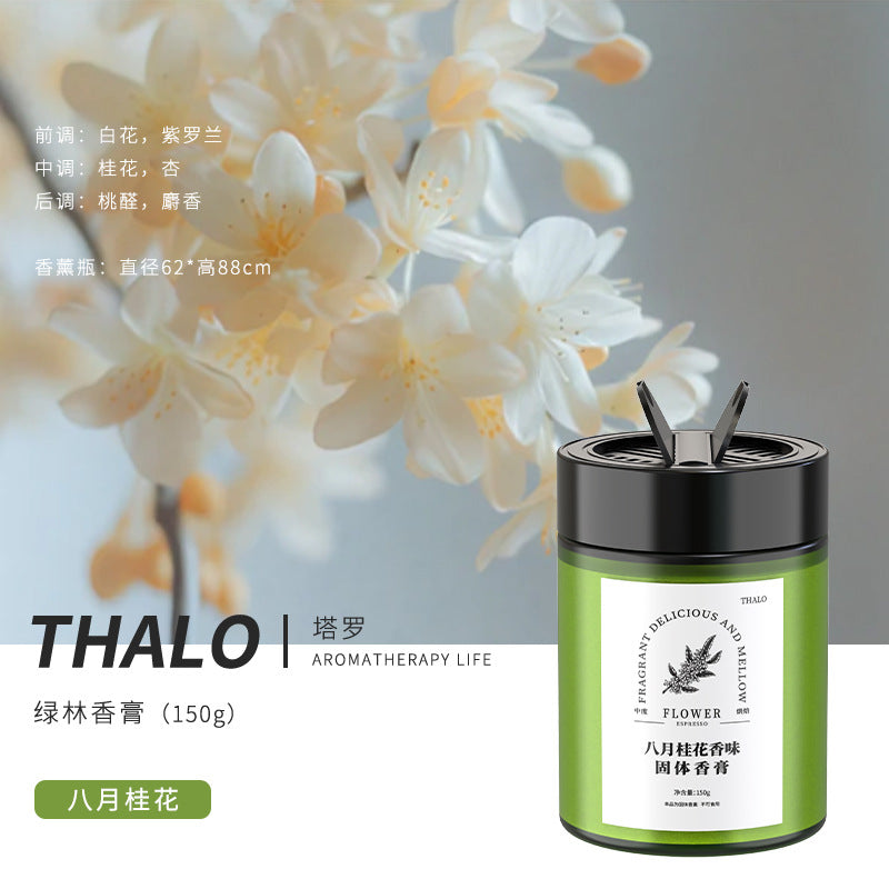 Car aromatherapy car balm long-lasting fresh light fragrance odor remover men's special high-end car aromatherapy supplies