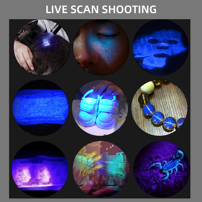 Wood's lamp illuminates cat moss urinary tinea fungus detection flashlight ultraviolet fluorescent agent purple light special for banknote inspection lamp