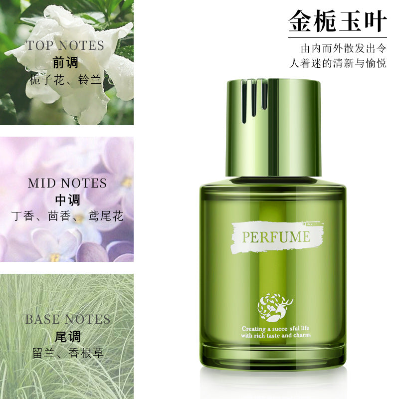 Car air freshener perfume for men, premium 160ml "wizard of oz" scent, car interior decoration