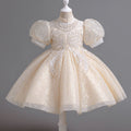 New girls' export dresses: long-sleeved mesh autumn/winter princess dresses for children - wholesale for hosts and piano performances
