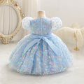 Baby birthday princess dress first birthday little girl butterfly embroidered mesh tutu dress children's formal wear in stock dropshipping