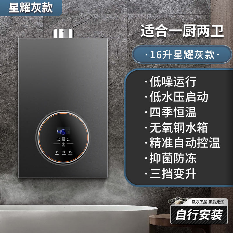 Wholesale royalstar natural gas gas water heater for home13l liquefied gas coal gas forced exhaust gas model 16 liters