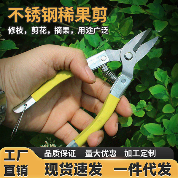 Fruit tree pruning scissors Stainless steel household gardening scissors pruning scissors tree branch scissors floral scissors manufacturer fruit scissors