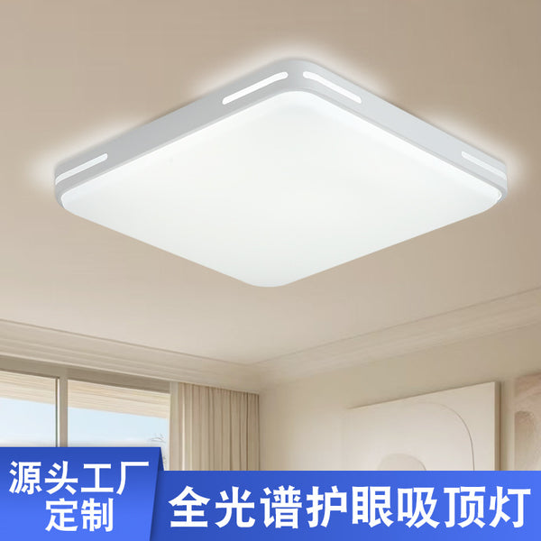 Wholesale manufacturers custom led ultra-thin ceiling light modern simple bedroom light balcony corridor Zhongshan home improvement lighting