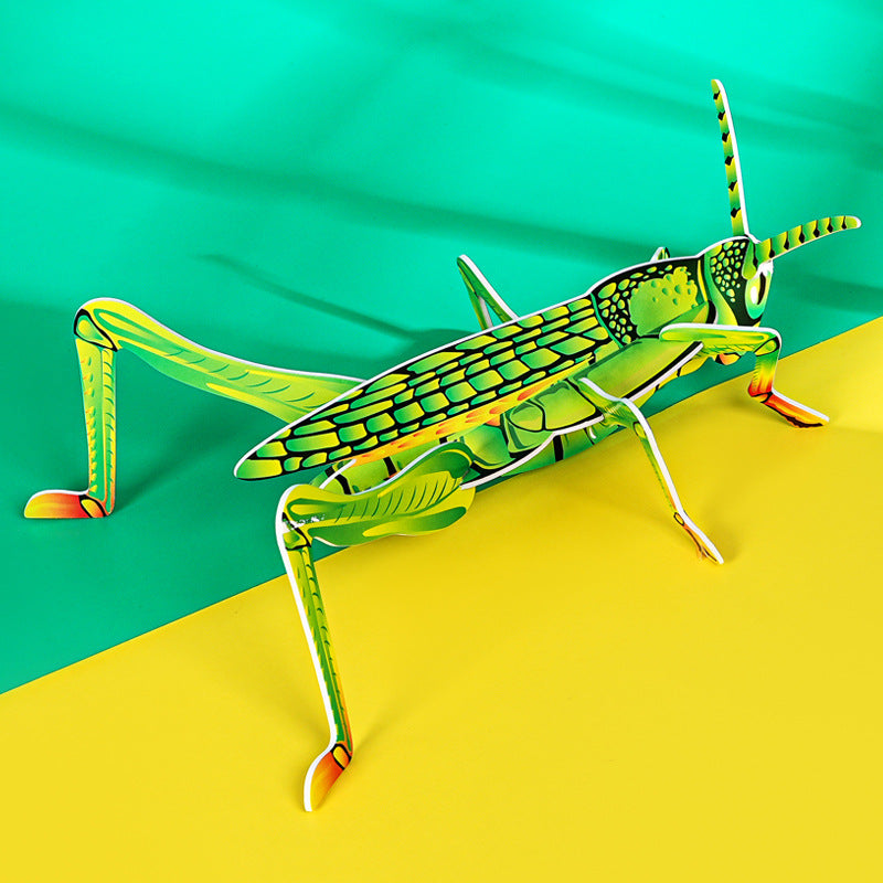 KT grasshopper, technology small production handmade DIY splicing primary school students insect cognition science education science experiment package