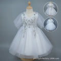 Kids' formal dress princess dress new short printed mesh girl's princess dress flower girl wedding dress one piece wholesale foreign trade