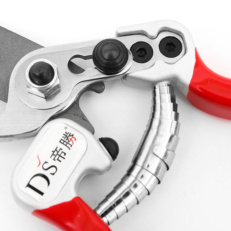 Disheng 2069 Taiwan, China Garden Shearing Branch Scissors Labor-saving Fruit Tree Pruning Shearing Horticulture Bonsai, Rixin Railway S