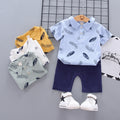 newborn & infant set: feather-weight kids' shirt & single-breasted shorts - hot-selling two-piece outfit for export