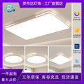 2025 new living room modern minimalist elegant main light full spectrum eye protection led ceiling light whole house hallway lighting fixture