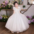 Girls' high-end formal dresses: mesh flower girl dresses, wedding dresses, hostess dresses, children's day performance costumes, birthday princess dresses - in stock & wholesale