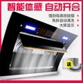 Wholesale high suction range hood for home kitchen side suction type no need to disassemble and wash small exhaust double motor range hood