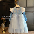 Girls' princess dress -  autumn collection - trendy girl's dress - blue mesh elsa tutu birthday gown