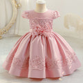 Exportnew arrival kidslace dress section cloth princess dress baby girl first birthday dress baby dress