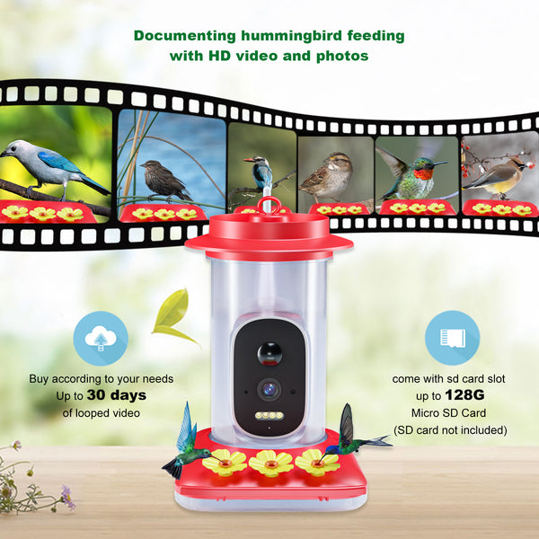 Smart visual hummingbird feeder bird lovers gospel built-in high definition camera hummingbird water feeder wholesale