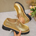 autumn women's casual leather loafers: comfortable round toe, chunky heel, retro style, soft leather, lace-up, platform sole