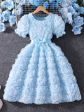 Girls' dress (sizes for mid-to-large children), 3d rose embellished dress + bow belt