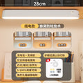 Source manufacturer desk lamp eye protection learning remote control cool lamp charging plug-in dual-use three-color temperature dormitory desk lamp