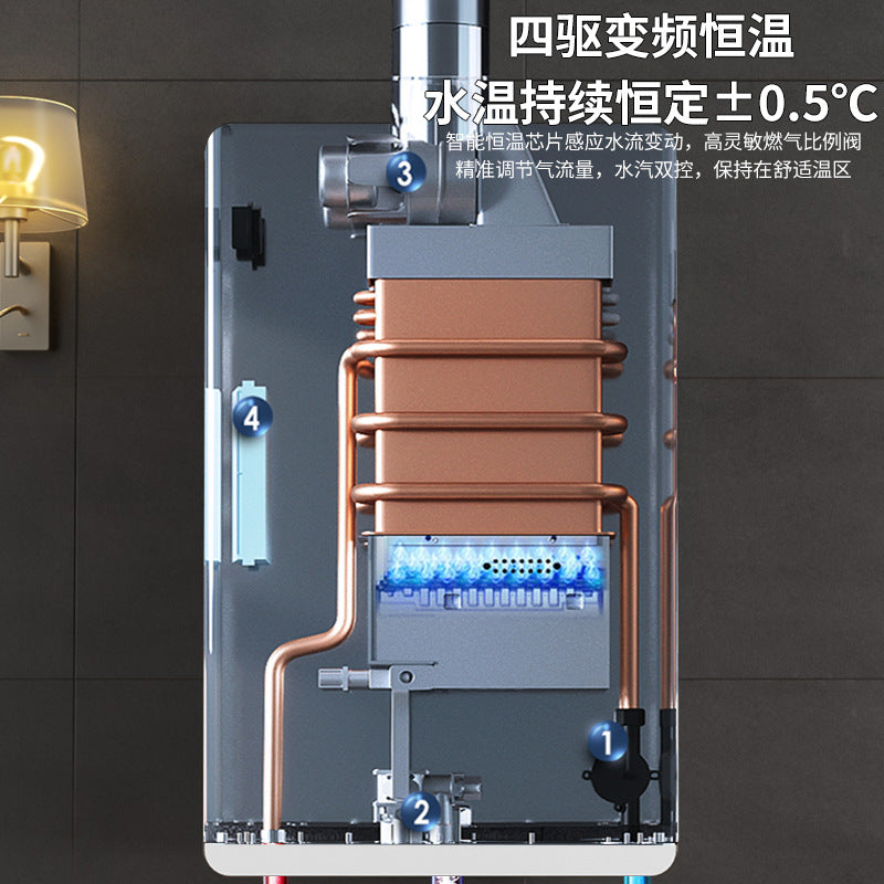 Wholesale natural gas gas water heater for home thermostatic forced exhaust liquefied gas coal gas balanced 16l zero cold water