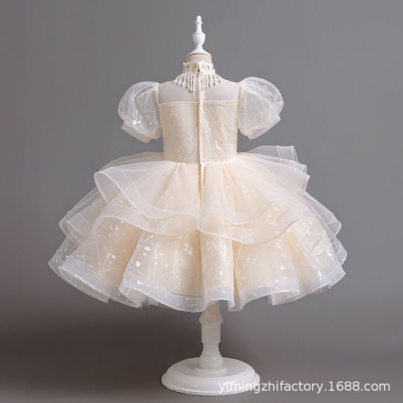 Amazon export girls' dresses model runway performance costume host performance costume tutu skirt children's princess dress