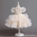 Amazon export girls' dresses model runway performance costume host performance costume tutu skirt children's princess dress