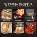 Wholesale royalstar high suction range hood for home kitchen new arrival small rental roof side double range hood
