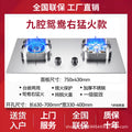 German-engineered high-power gas stove - home use, double burner, countertop/built-in, natural gas/lpg compatible, new energy-efficient cooktop