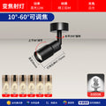 Ceiling model [10~60° focus adjustment] full spectrum ra98 black - 12w/white light 6000k