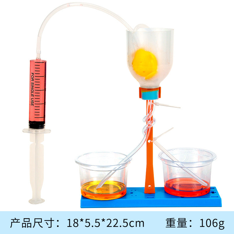 Science small experiment DIY children's educational toys kindergarten small gift technology small production steam material package