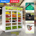 Huaer convenience fruit store refrigerated cabinet supermarket freezer commercial refrigerator display cabinet vertical fruit preservation cabinet