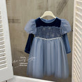 Girls' spring dress new : stylish baby girl birthday dress, fleece-lined and thickened, elsa princess dress, trendy style