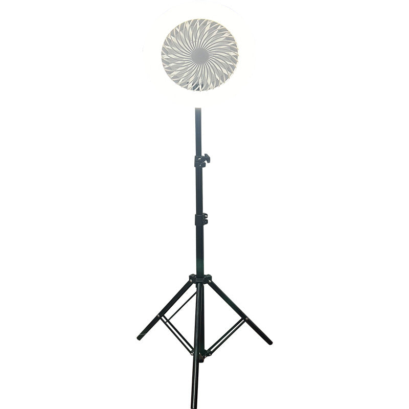 New arrivalled fan light e27 screw live broadcast fan light energy-saving dormitory floor stand remote control light wind and dimming