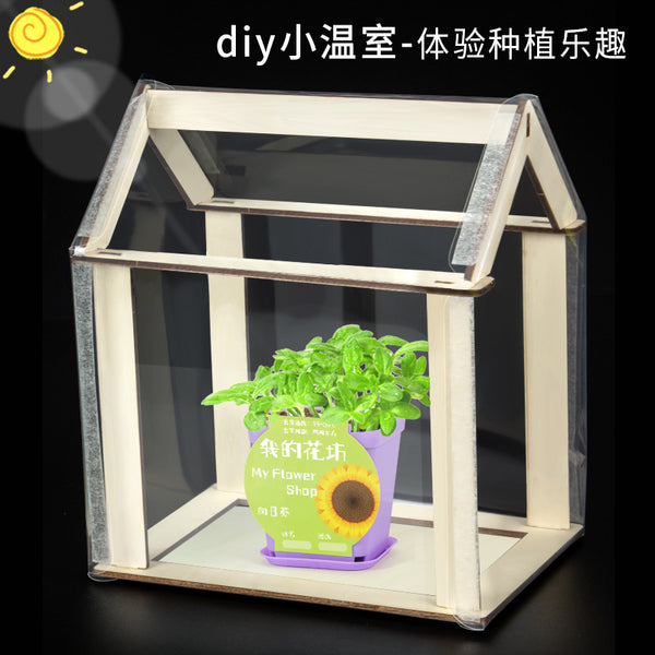 Scientific experiment DIY small greenhouse plant sunshine small greenhouse children's toys technology small production material package set