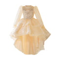 Girls' train dress new arrivallong sleevesspring & fallkids princess dress evening dress birthday style 3-12 years old skirt