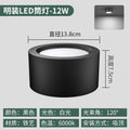 Ceiling model-black shell- 4inch -12w-white light 6000k