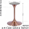 Rose gold brushed chassis diameter 650