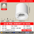 Surface-mounted human body sensor light for home corridor aisle light entrance entrance light corridor downlight infrared ceiling spotlight