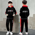 Boys' fleece-lined tracksuit set - new  winter collection: stylish and trendy two-piece hooded set for toddlers, big kids, and teens - thickened for extra warmth