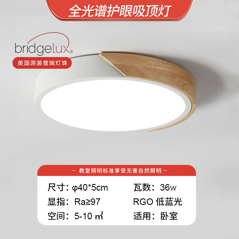 Living room light 2025 new Nordic led ceiling light simple modern creative room bedroom light Zhongshan lighting