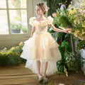 Girls' formal dresses flower girl wedding dresses train gowns birthday piano recital runway stunning dresses children's princess dresses