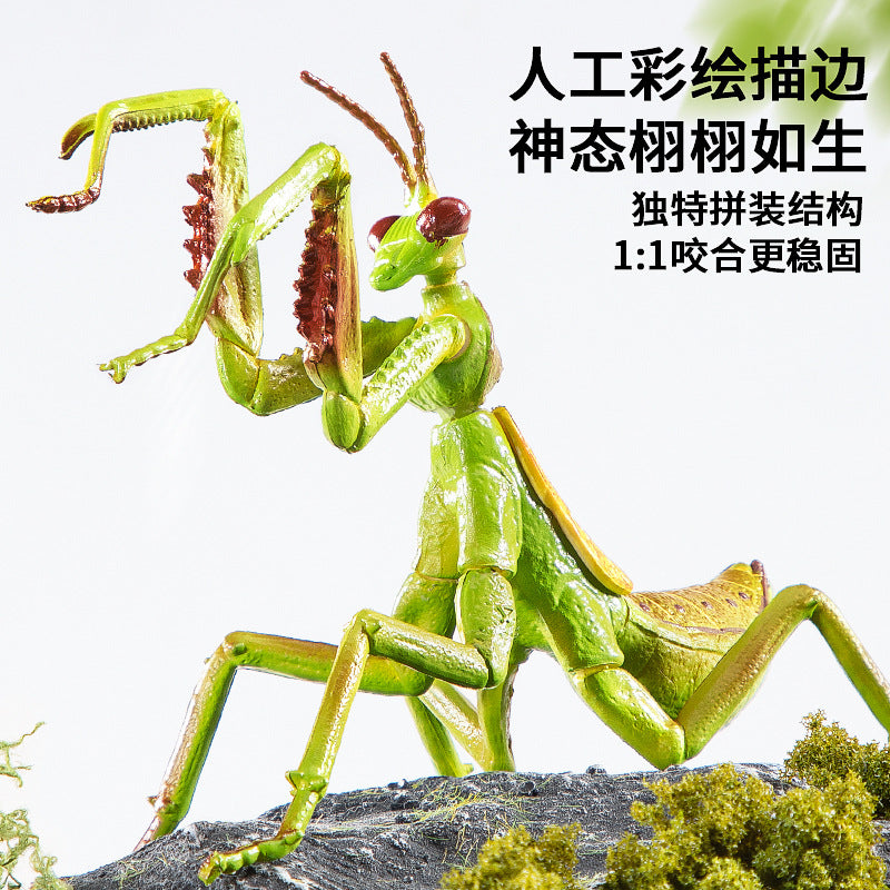 Children's realistic insect model 4d assembly educational animal toy - butterfly, bee, mantis - early education cognitive gift for boys