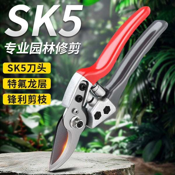 Fruit tree garden SK5 steel pruning shears special scissors, horticultural nursery fruit branch labor-saving shears, thick branch garden fruit tree shears