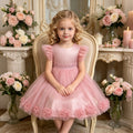 Girls' formal dresses fairy dress baby birthday first birthday sweet kids princess dress lace embroidery in stock cross-border wholesale