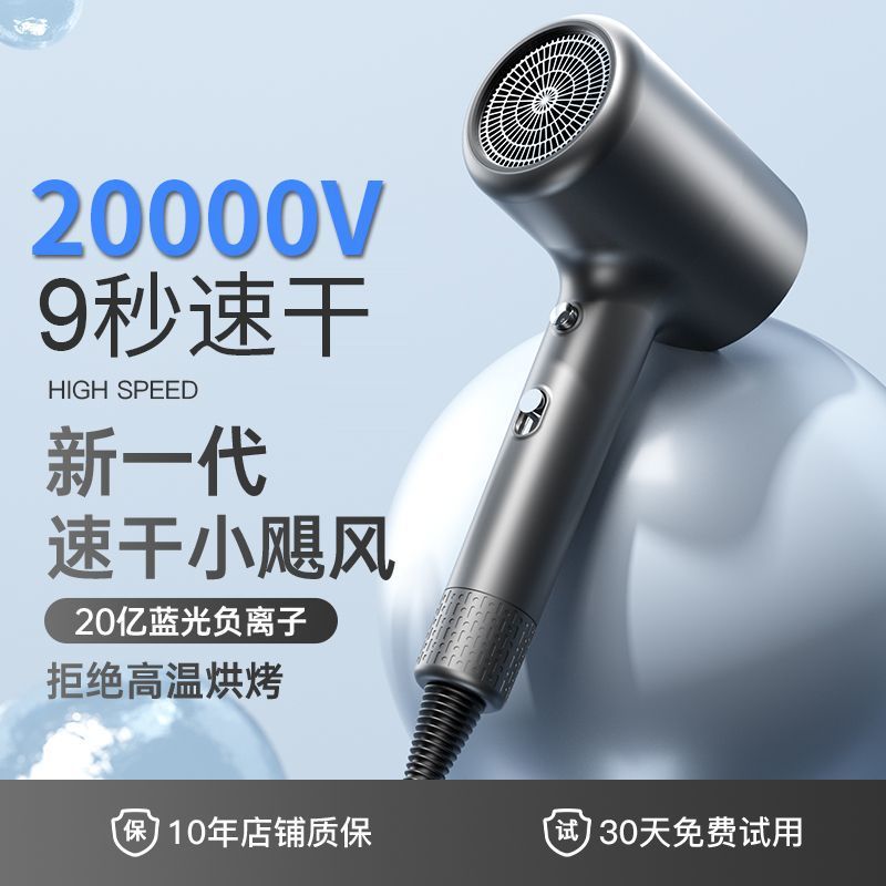 Hair dryer - high power, high velocity, blue light negative ion, hot & cold, salon-grade, quiet, hair care, powerful airflow - for home use
