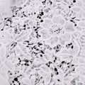 Summernew arrivalwhitesexycut outtops short sleeve lace lapel work clothingeasiest for matchshirtlacetops