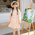 Girls' autumn dresses: simple spring/autumn dresses for toddlers and young children, korean style princess dresses, baby dresses for autumn and winter