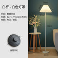 Modern minimalist floor lamp - perfect for living room, bedroom, study, beside sofa, or hotel guest room. wholesale available